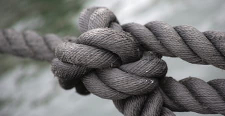 Galette du campus Notre-Dame-St-Vincent-St-Charles